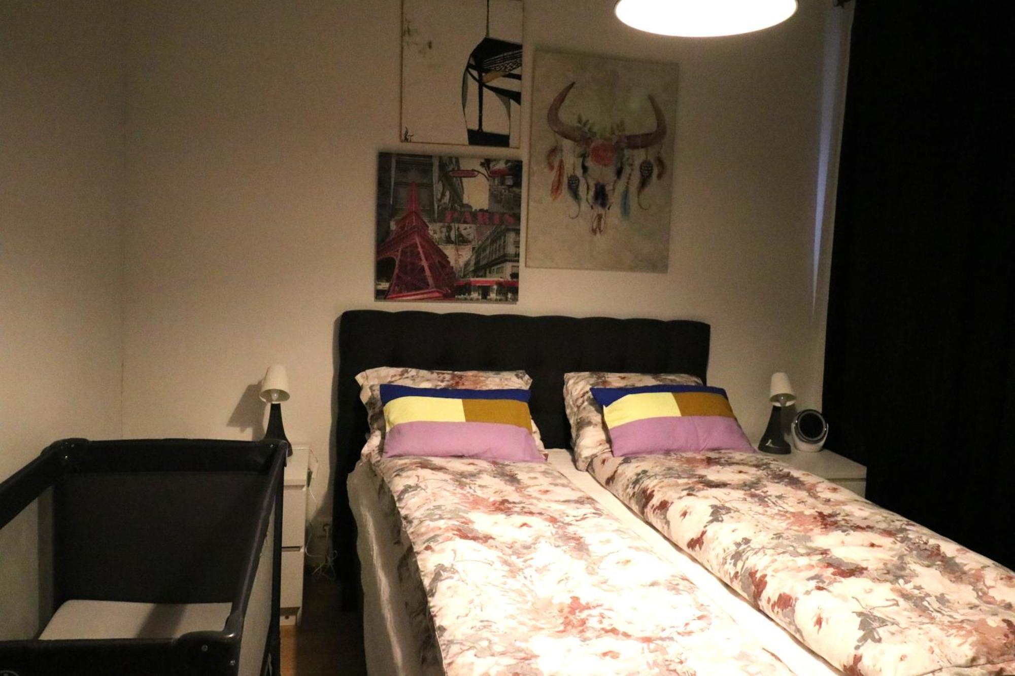 Reykjavik Antique Rentals المظهر الخارجي الصورة